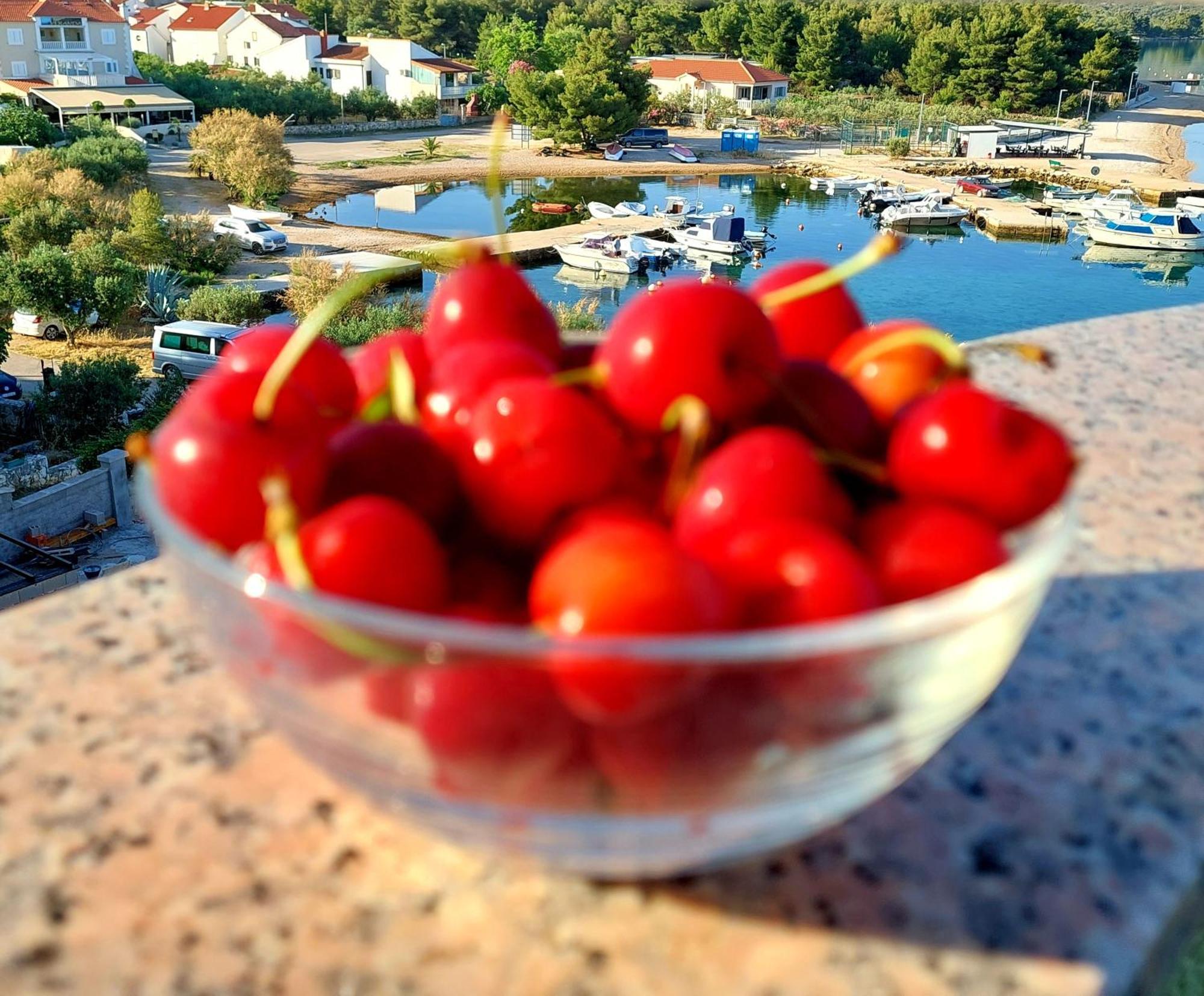 Apartments Marta Жаборич Екстер'єр фото